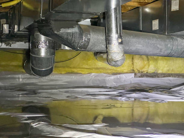 Best Ceiling water damage repair  in Del City, OK